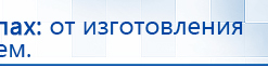 Прибор Дэнас ПКМ купить в Камышлове, Аппараты Дэнас купить в Камышлове, Дэнас официальный сайт denasdoctor.ru